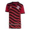 Camiseta de fútbol CR Flamengo Tercera Equipación 2022-23 - Hombre